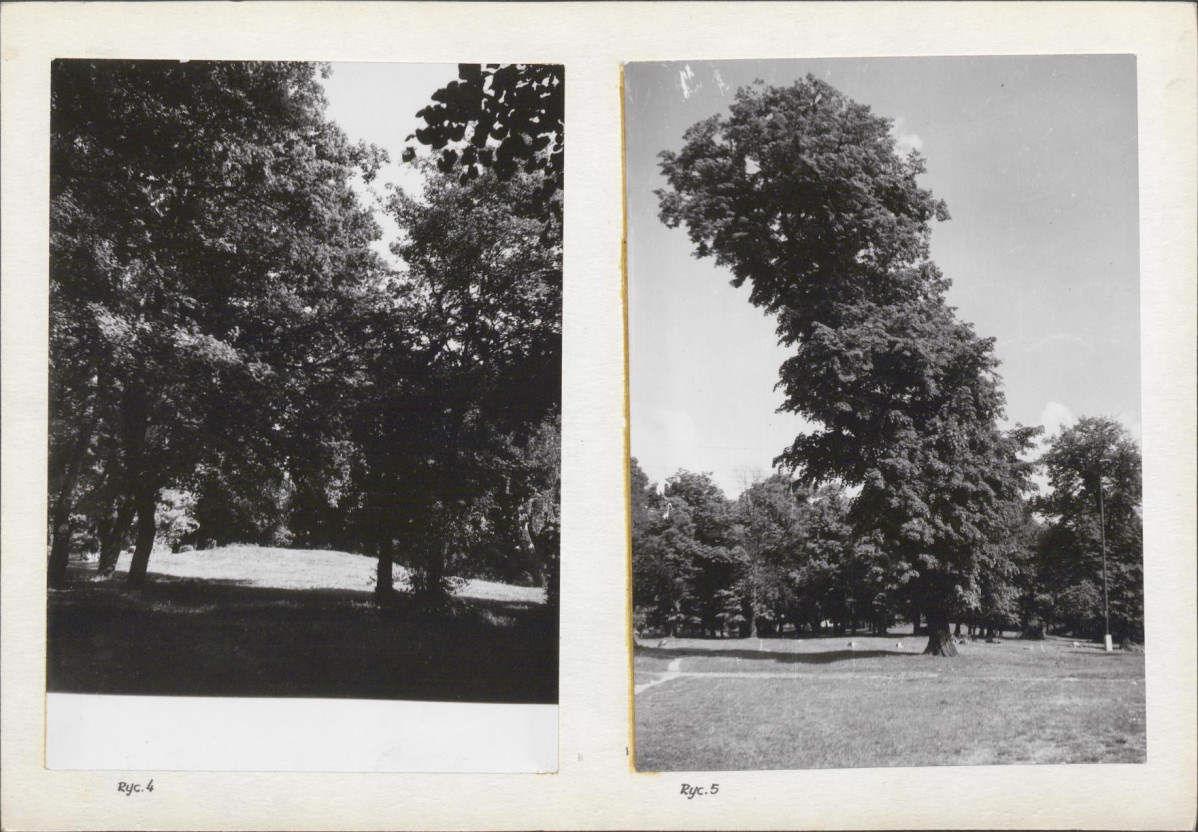 Ewidencja parkowa, skan nr 16