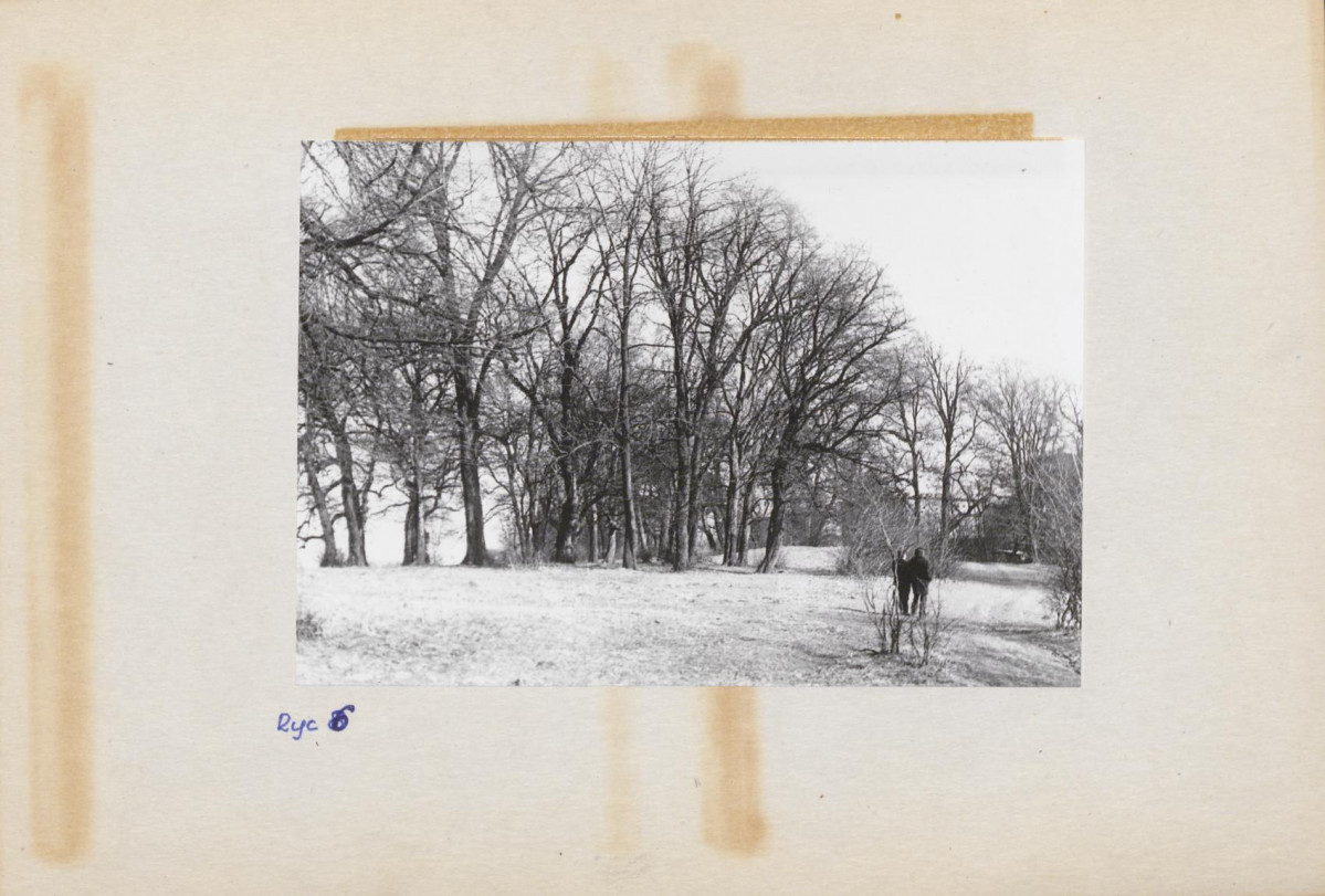 Ewidencja parkowa, skan nr 17