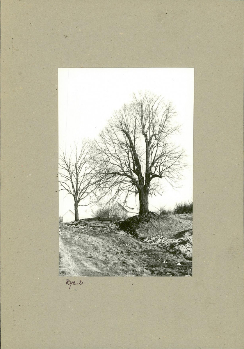 Ewidencja parkowa, skan nr 9