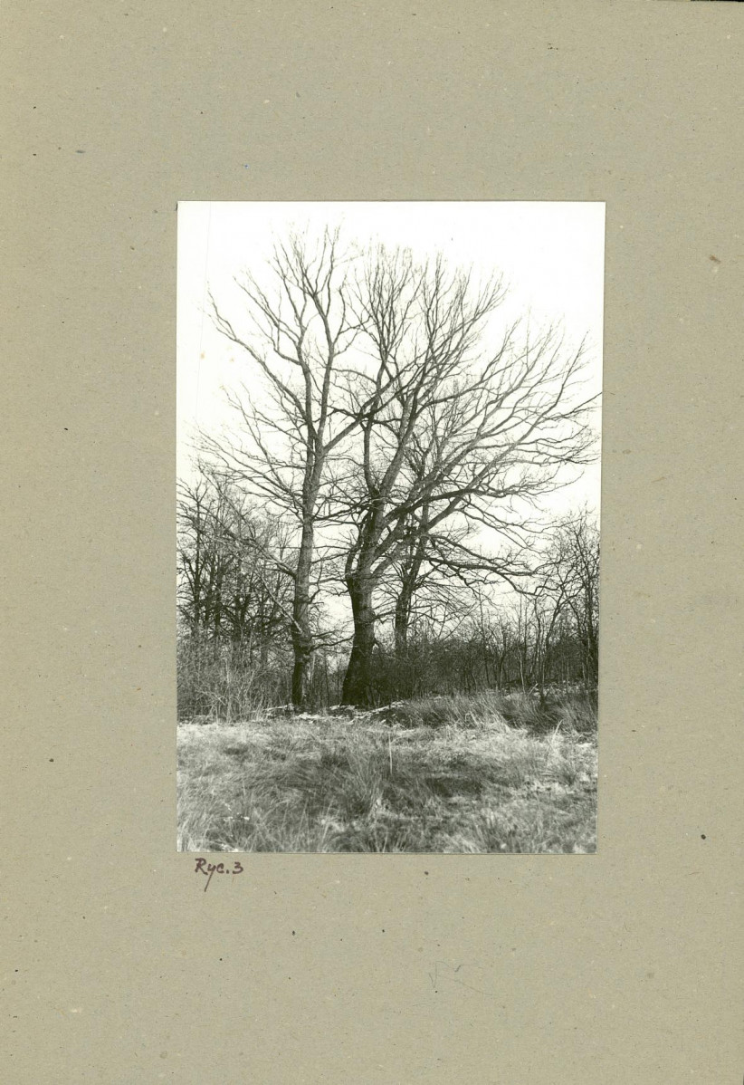 Ewidencja parkowa, skan nr 10