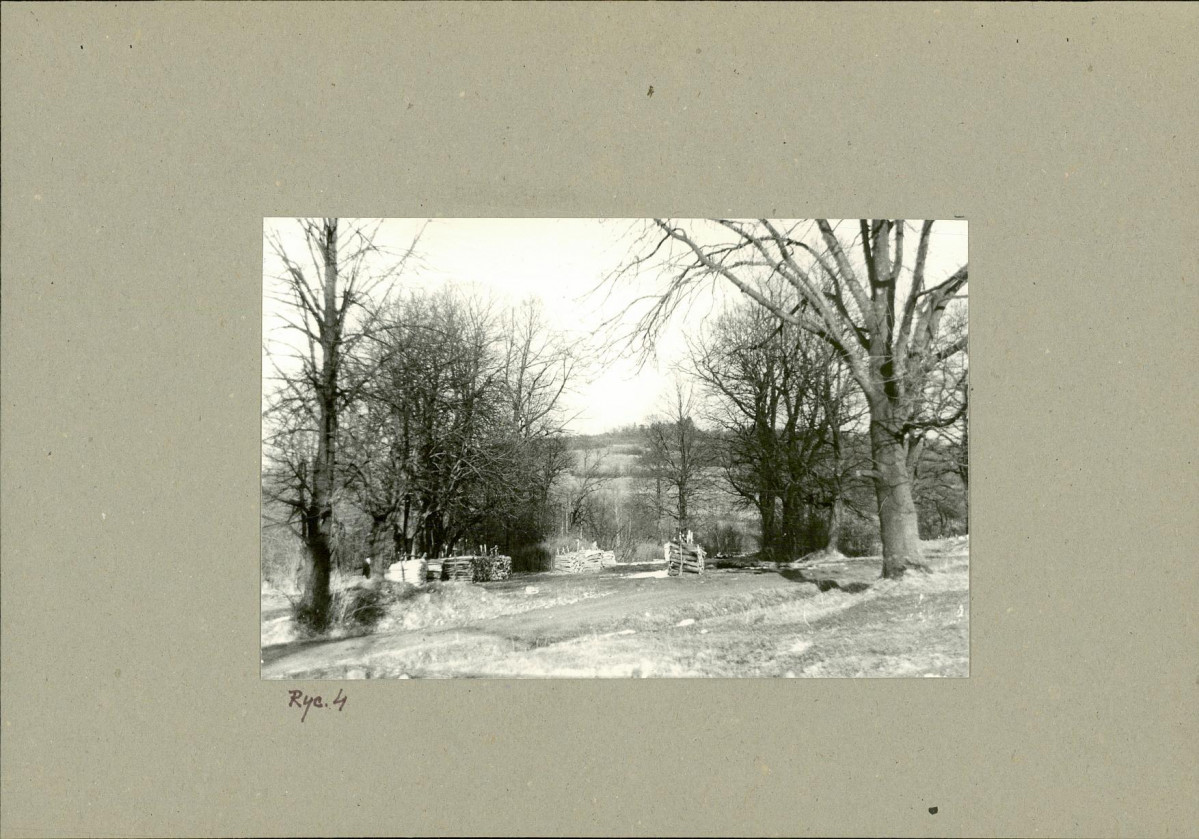 Ewidencja parkowa, skan nr 11