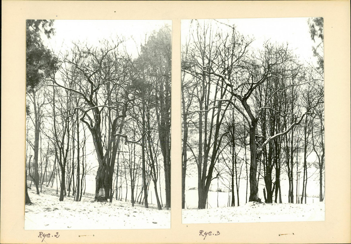 Ewidencja parkowa, skan nr 11