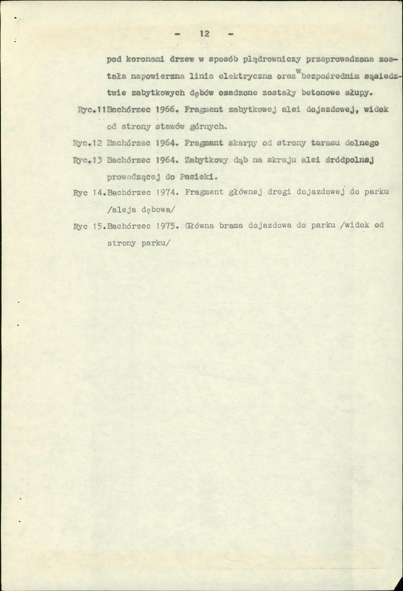 Ewidencja parkowa, skan nr 15