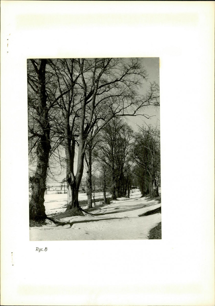 Ewidencja parkowa, skan nr 22