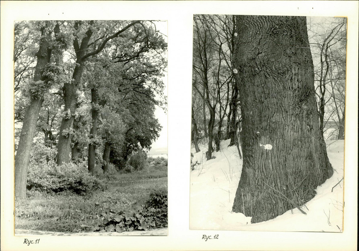 Ewidencja parkowa, skan nr 24