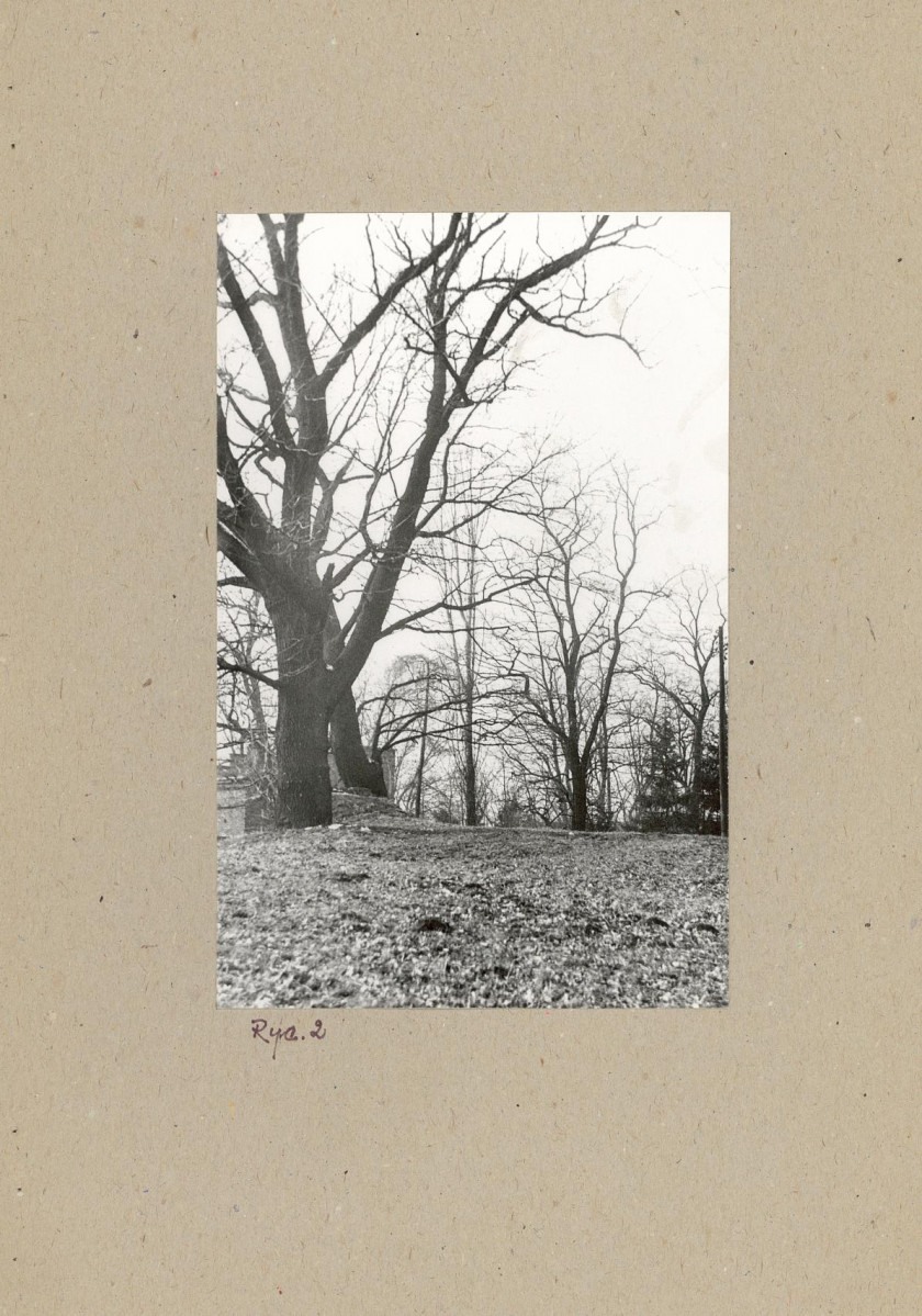 EP - Ewidencja parkowa, skan nr 10