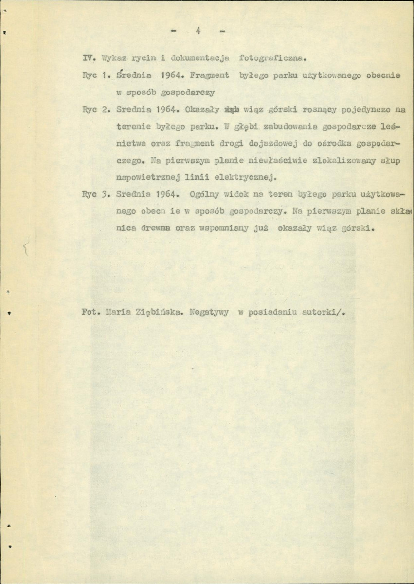 Ewidencja parkowa, skan nr 6
