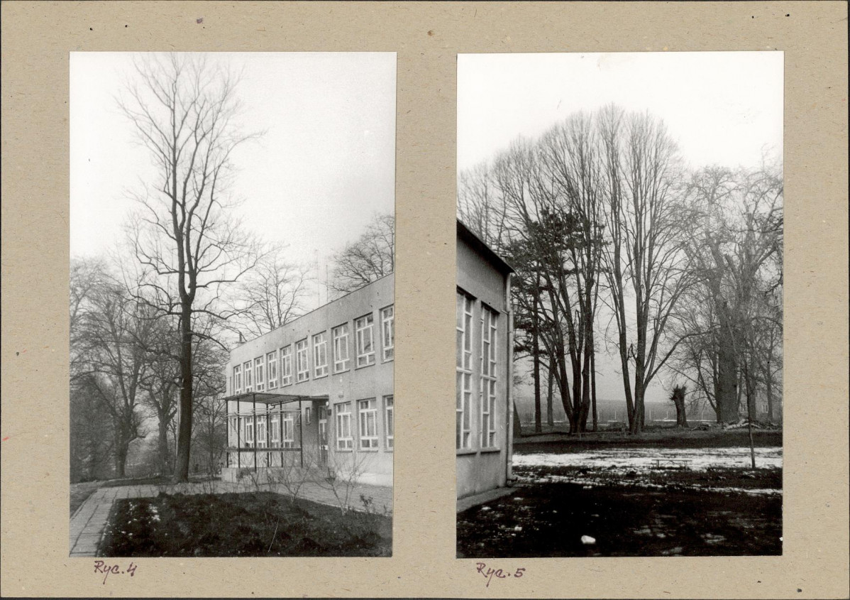 Ewidencja parkowa, skan nr 13