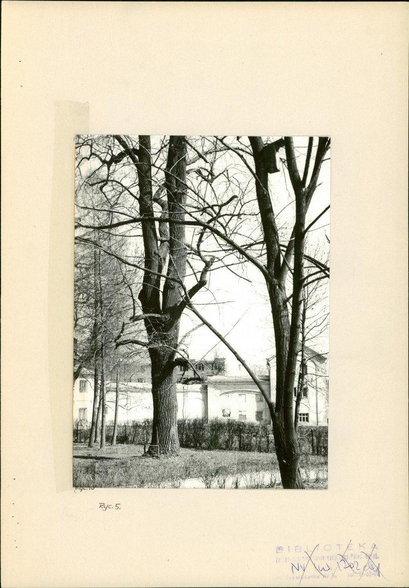 Ewidencja parkowa, skan nr 19
