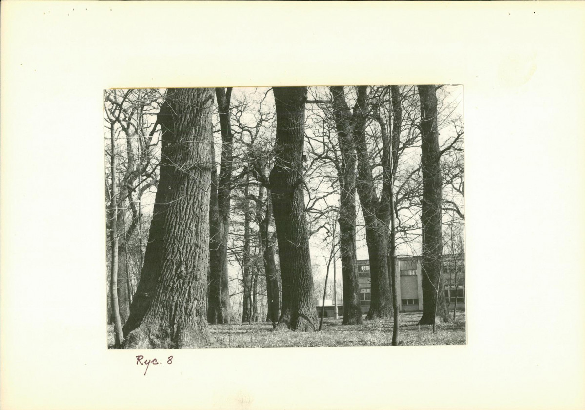 Ewidencja parkowa, skan nr 22