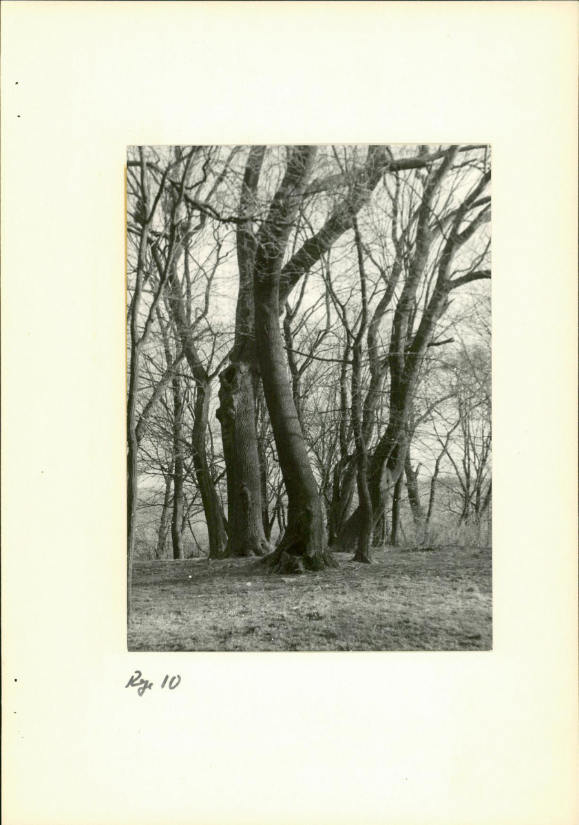 Ewidencja parkowa, skan nr 24