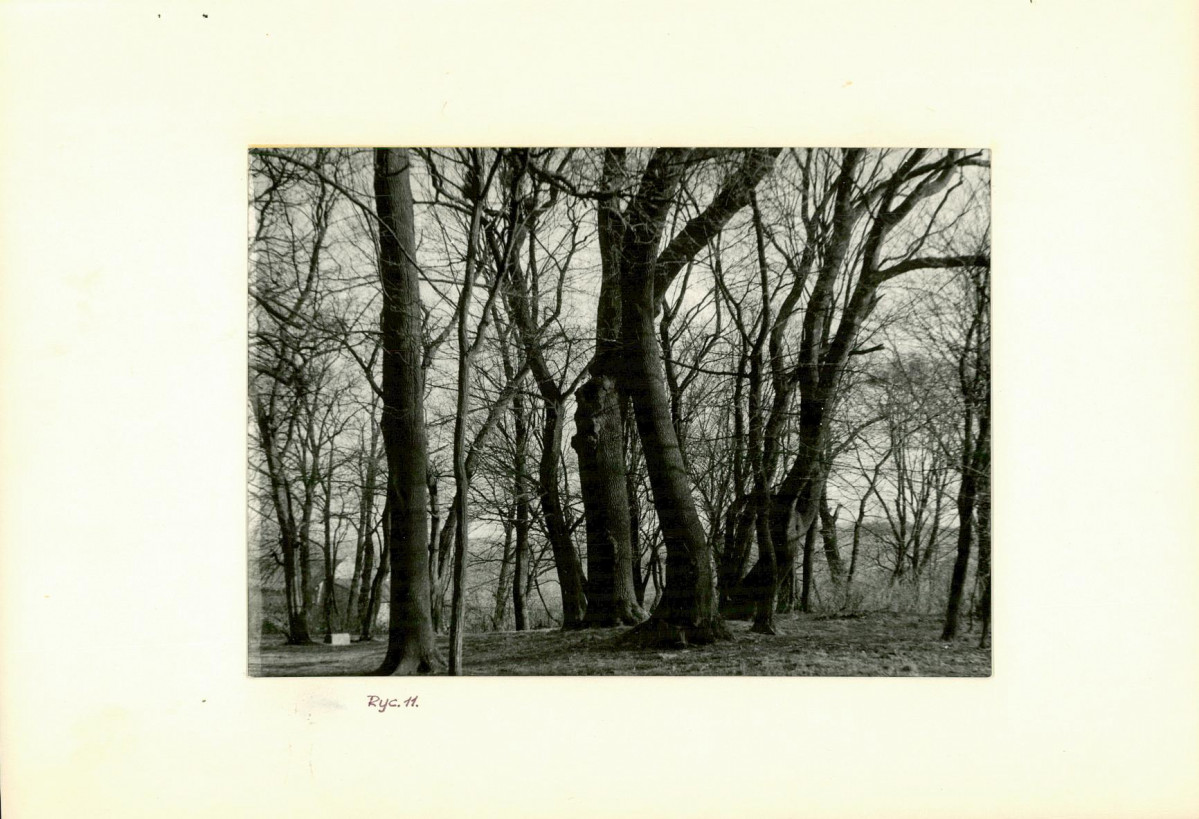 Ewidencja parkowa, skan nr 25