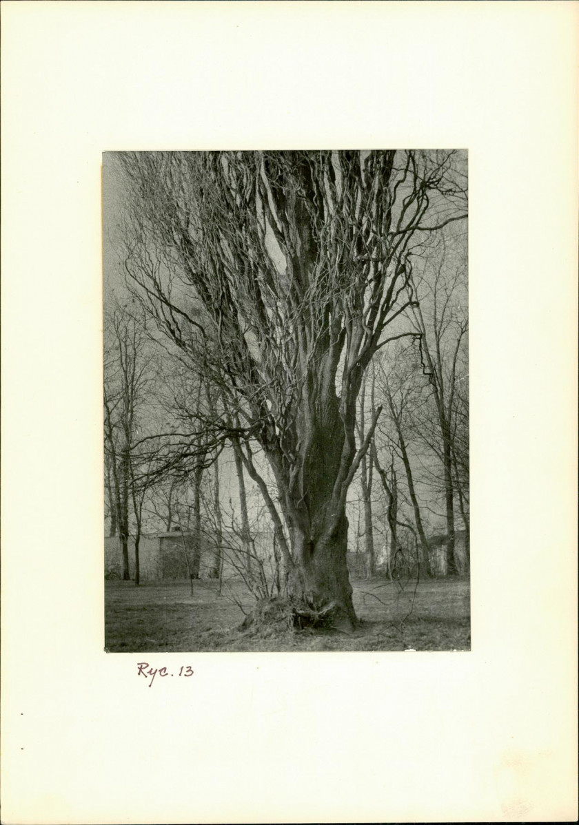 Ewidencja parkowa, skan nr 27