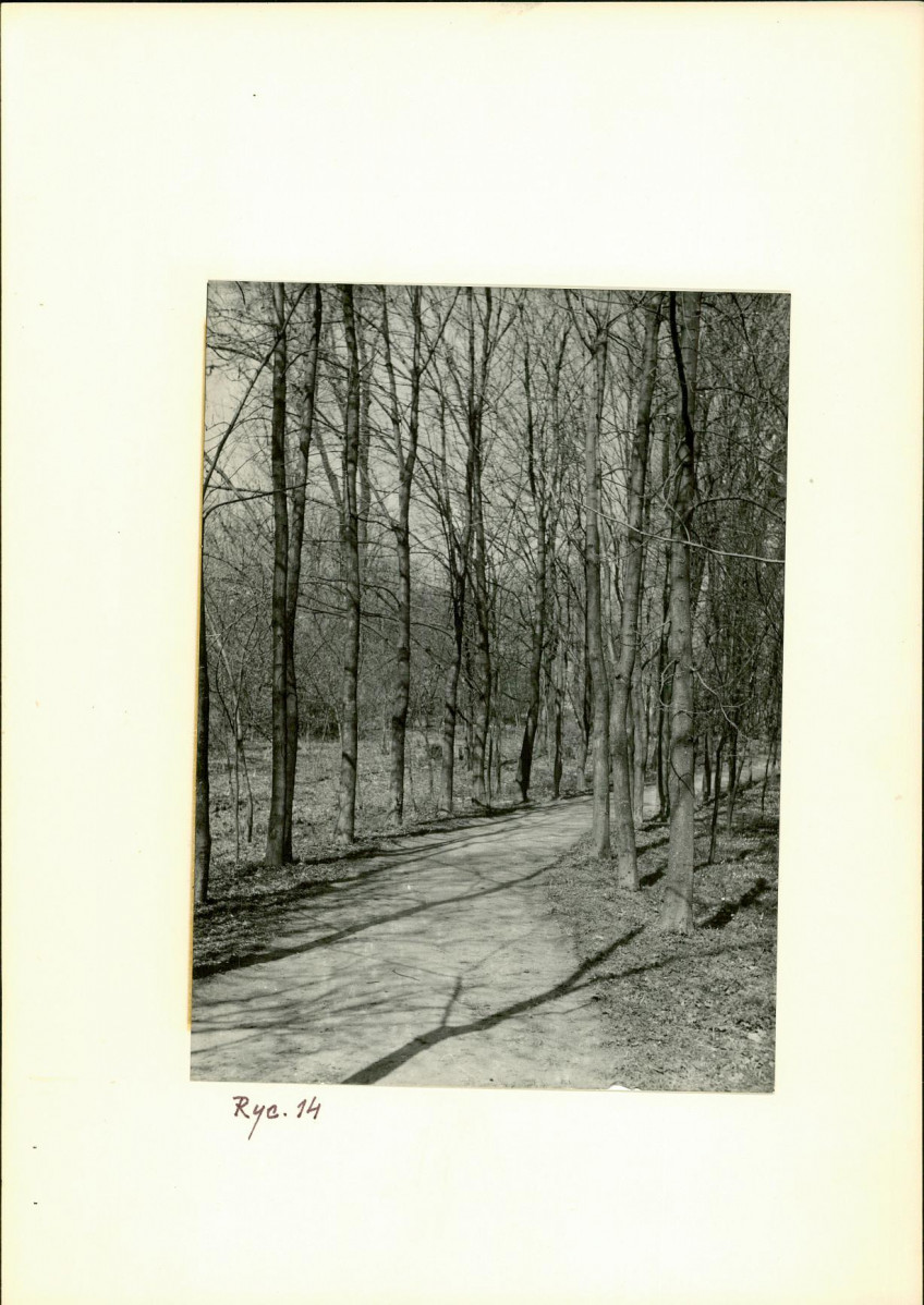 Ewidencja parkowa, skan nr 28