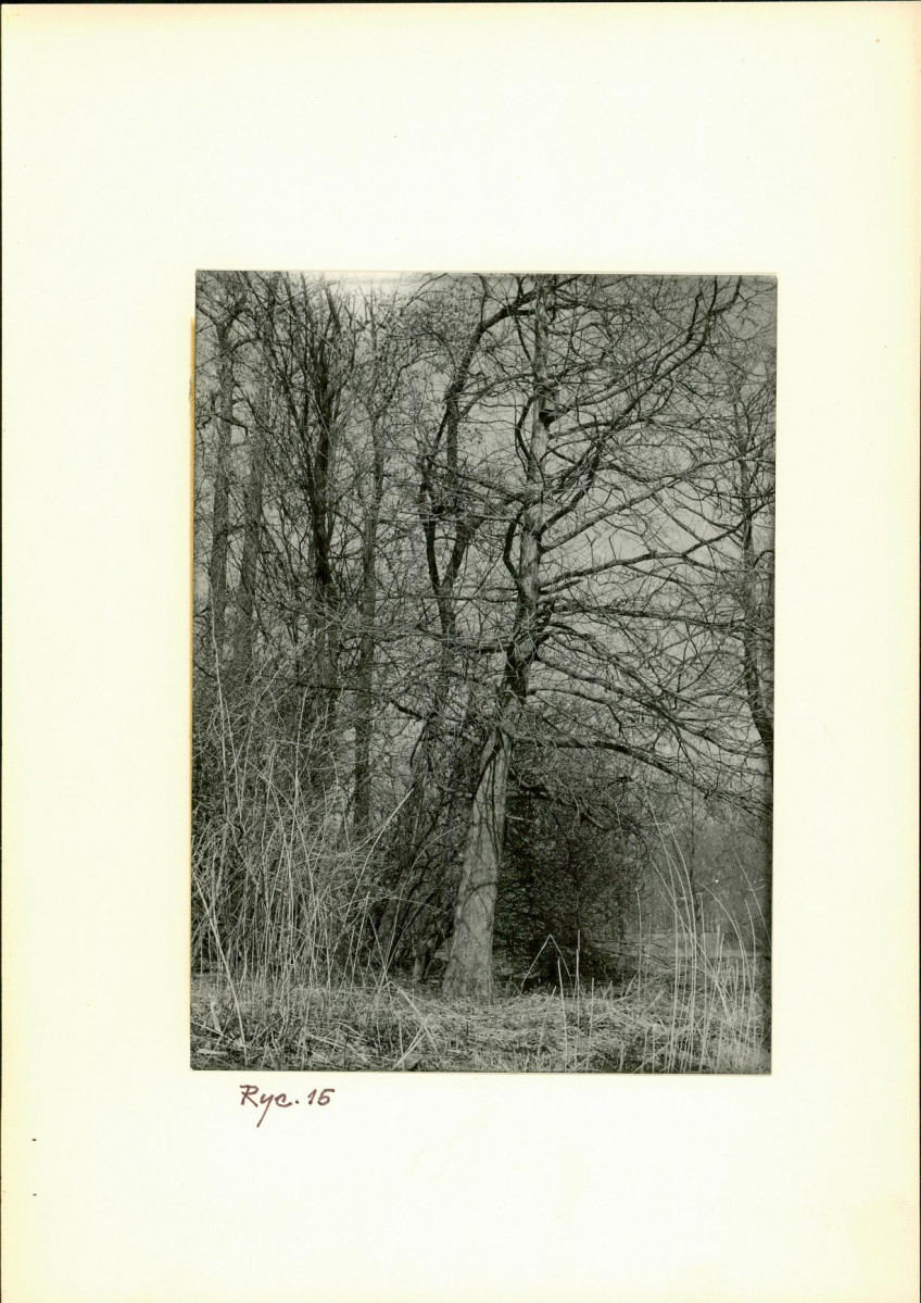 Ewidencja parkowa, skan nr 29