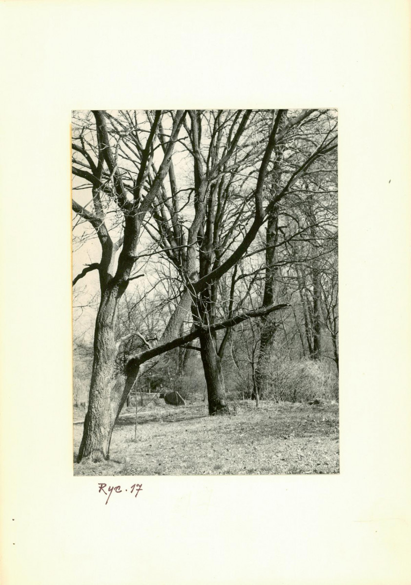Ewidencja parkowa, skan nr 31