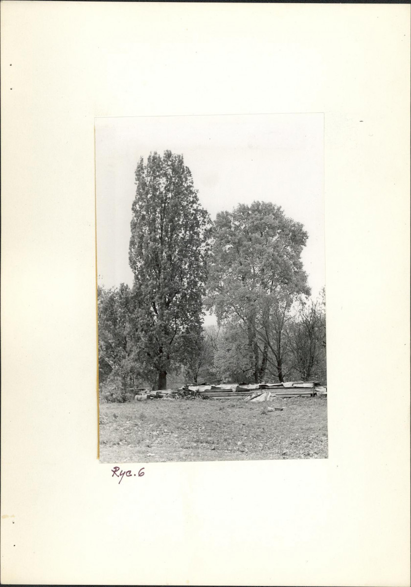 Ewidencja parkowa, skan nr 18