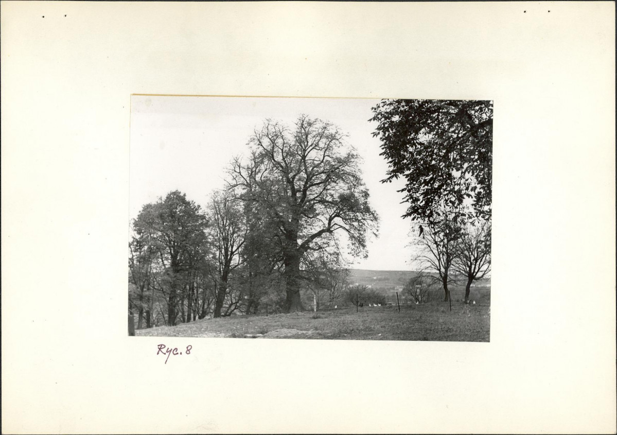 Ewidencja parkowa, skan nr 20