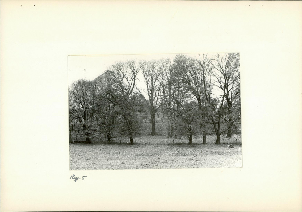 Ewidencja parkowa, skan nr 17