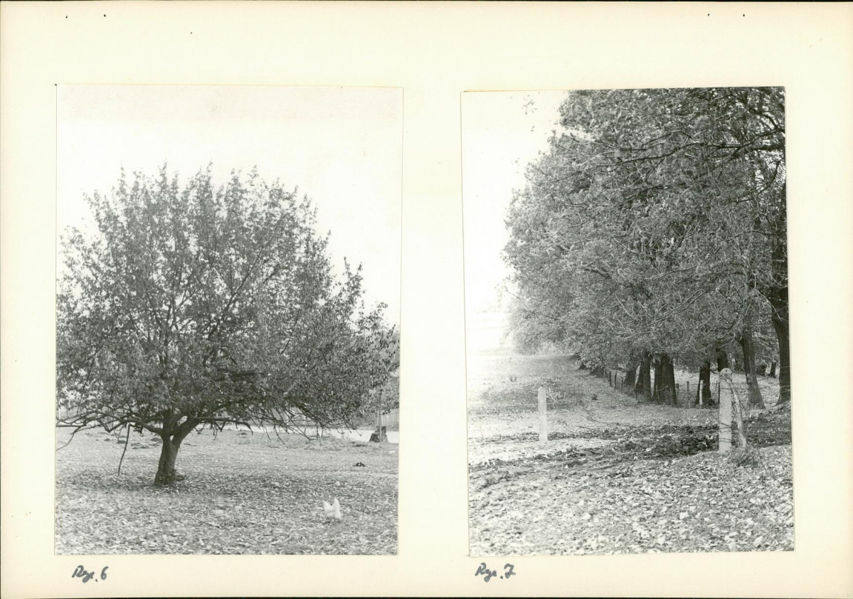 Ewidencja parkowa, skan nr 18