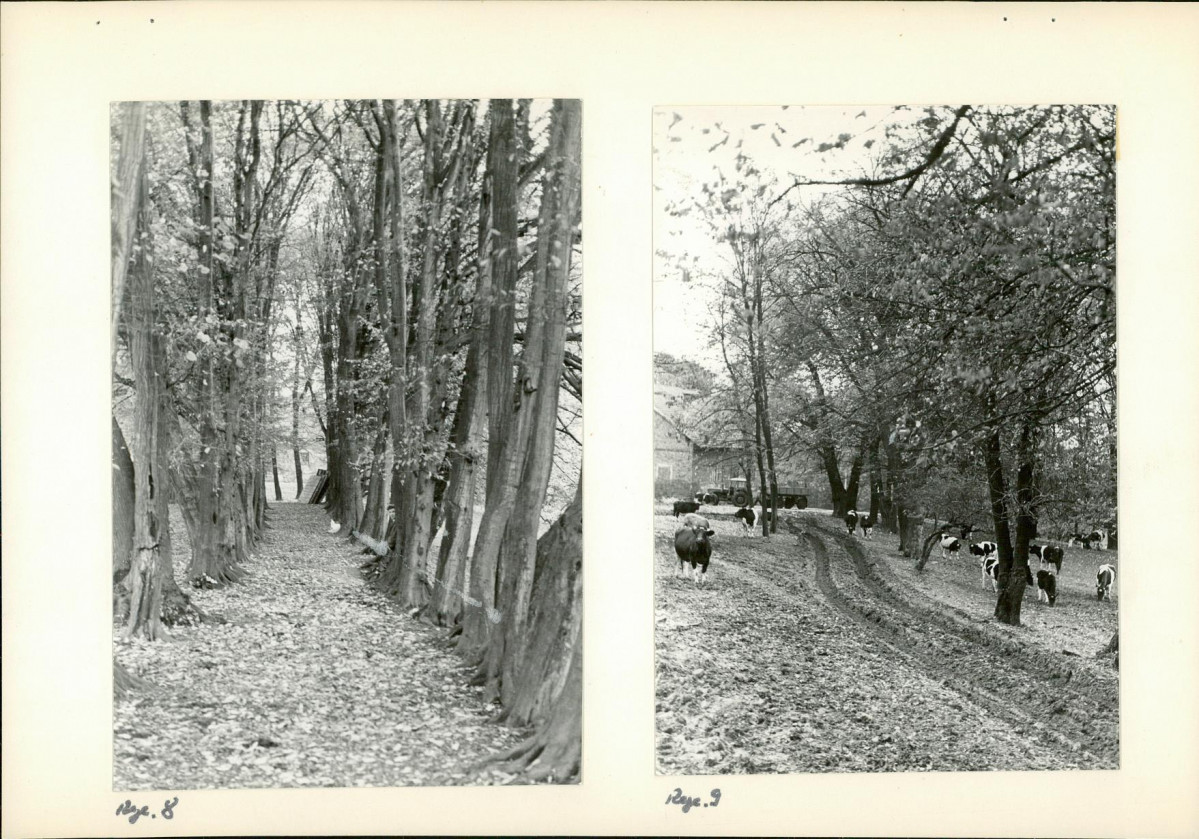 Ewidencja parkowa, skan nr 19