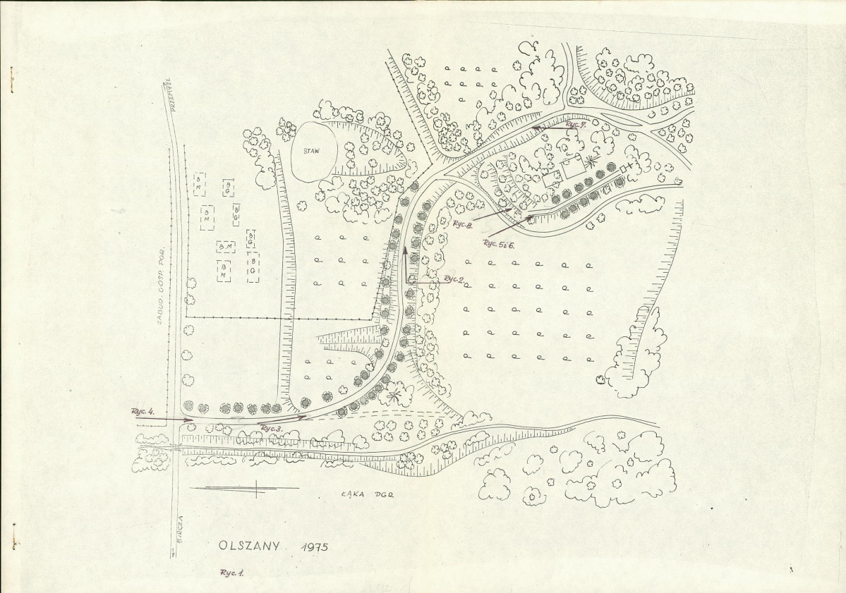 Ewidencja parkowa, skan nr 14