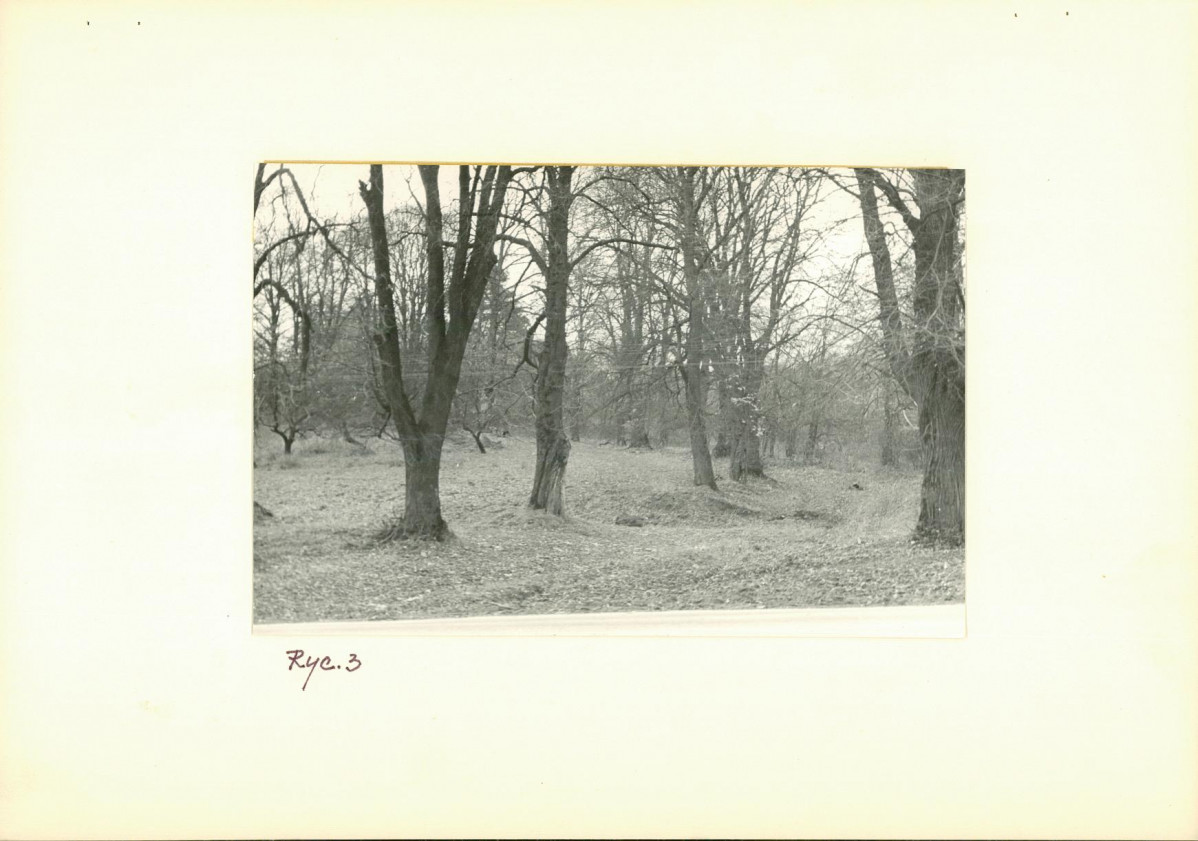 Ewidencja parkowa, skan nr 16