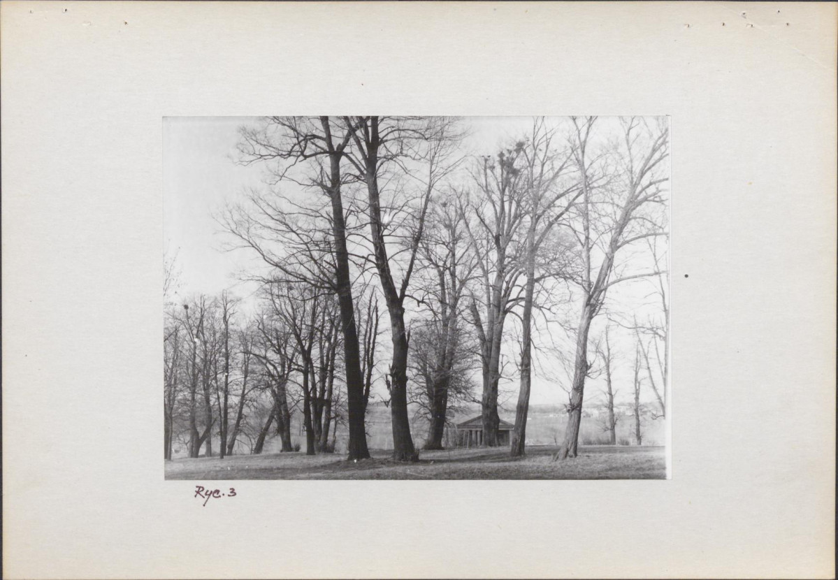 Ewidencja parkowa, skan nr 12