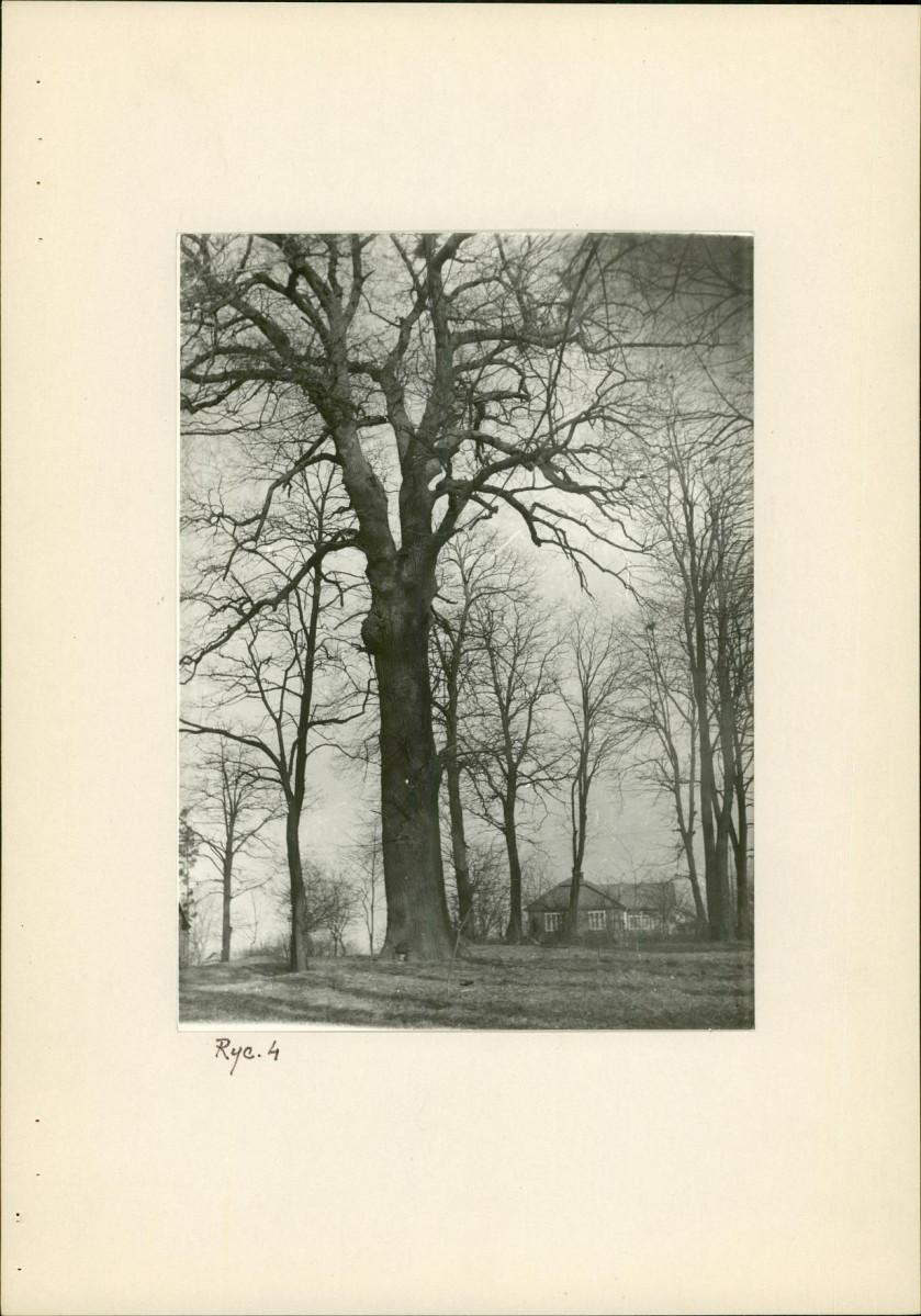 Ewidencja parkowa, skan nr 13