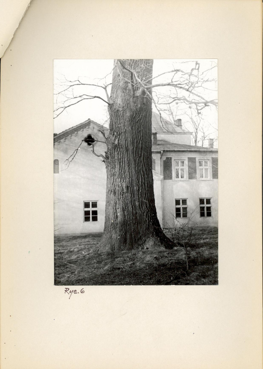 Ewidencja parkowa, skan nr 15