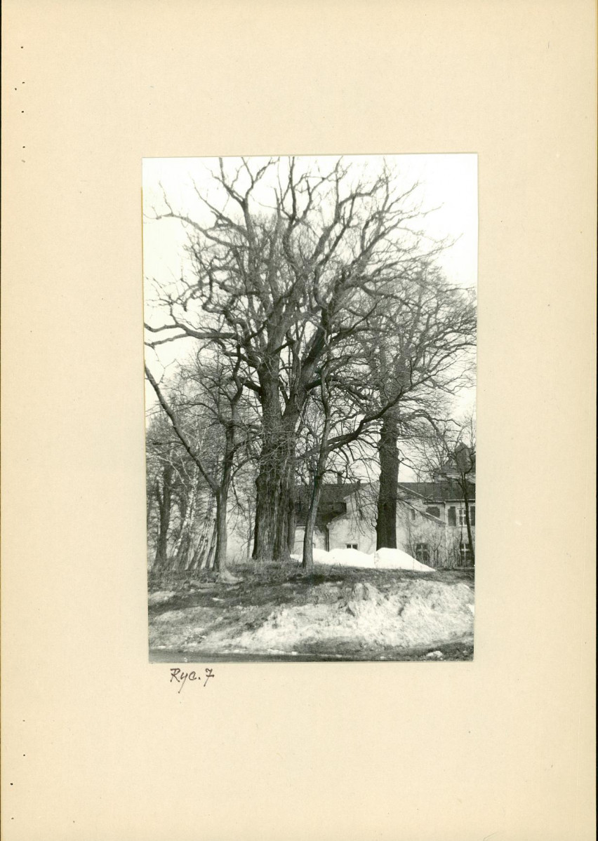 Ewidencja parkowa, skan nr 16