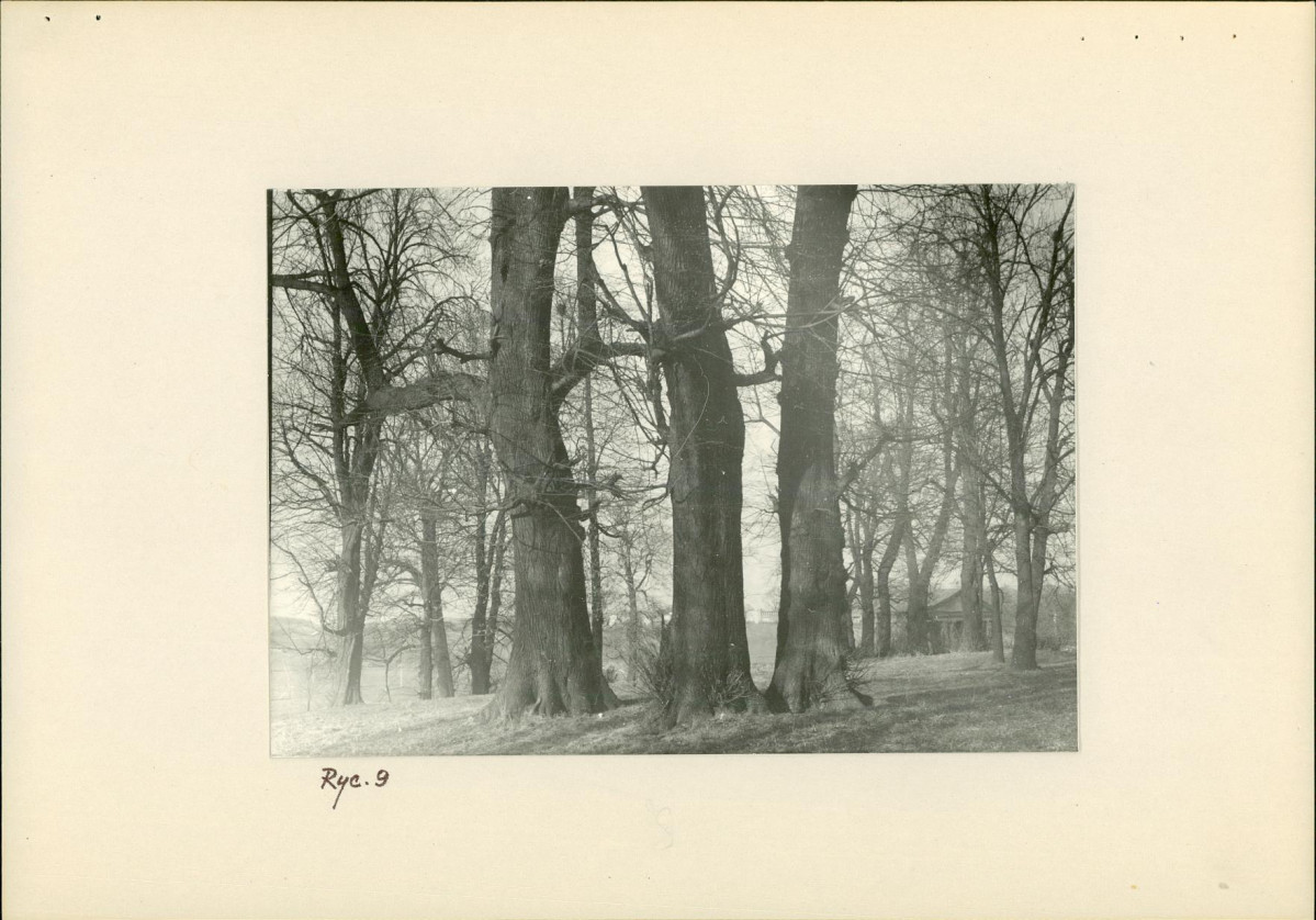 Ewidencja parkowa, skan nr 18