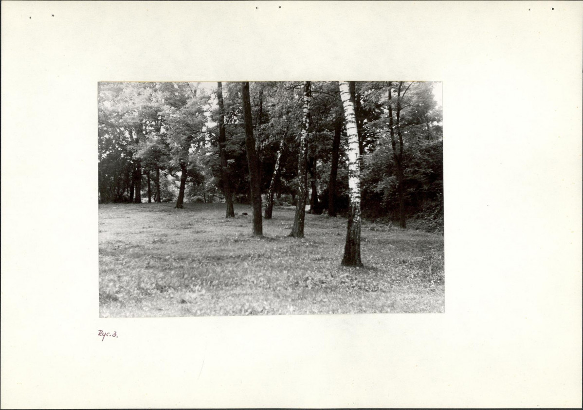 Ewidencja parkowa, skan nr 10