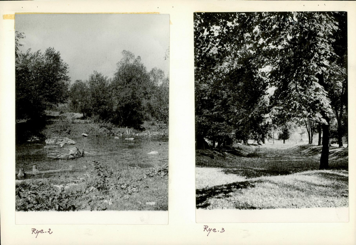 Ewidencja parkowa, skan nr 13