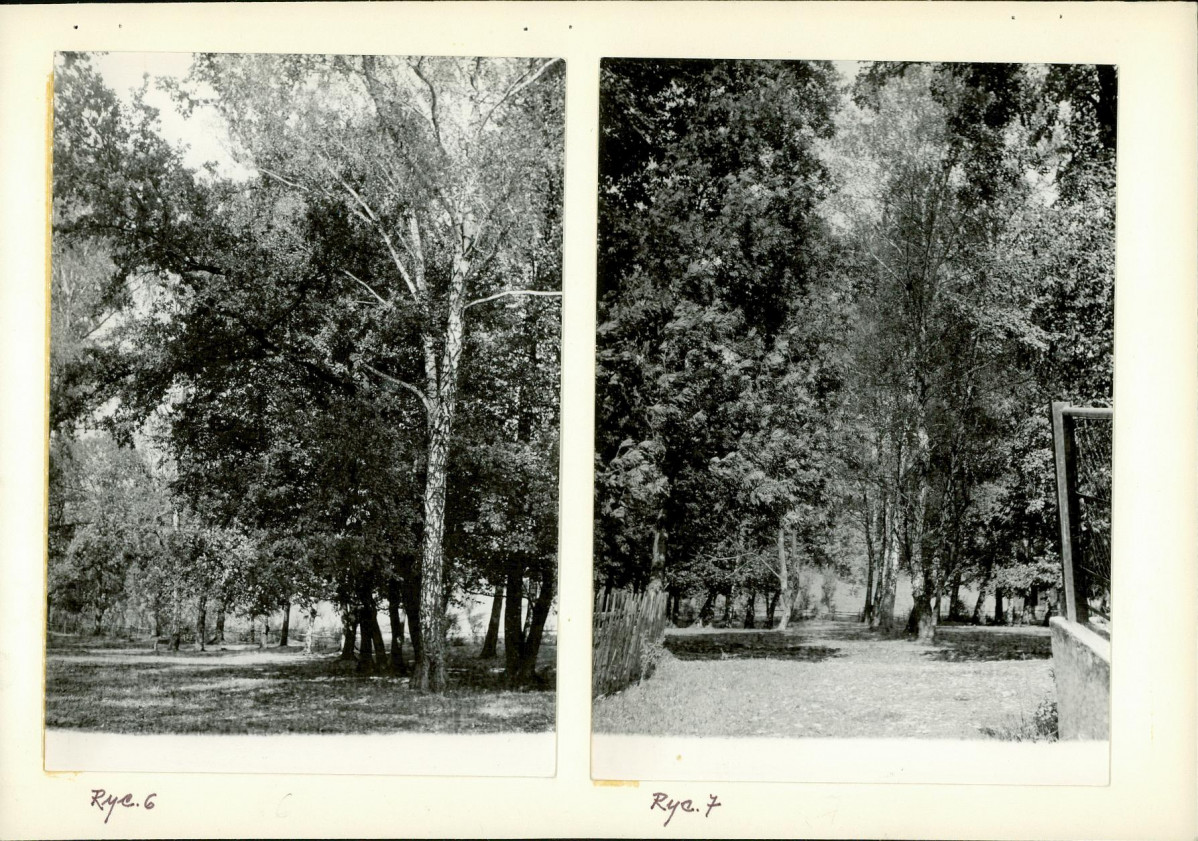 Ewidencja parkowa, skan nr 15