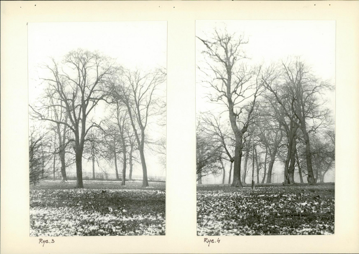 Ewidencja parkowa, skan nr 11