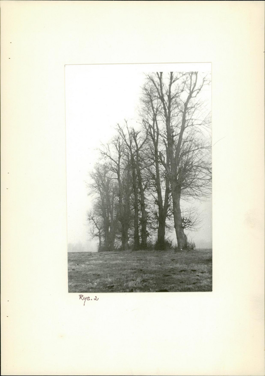 Ewidencja parkowa, skan nr 8