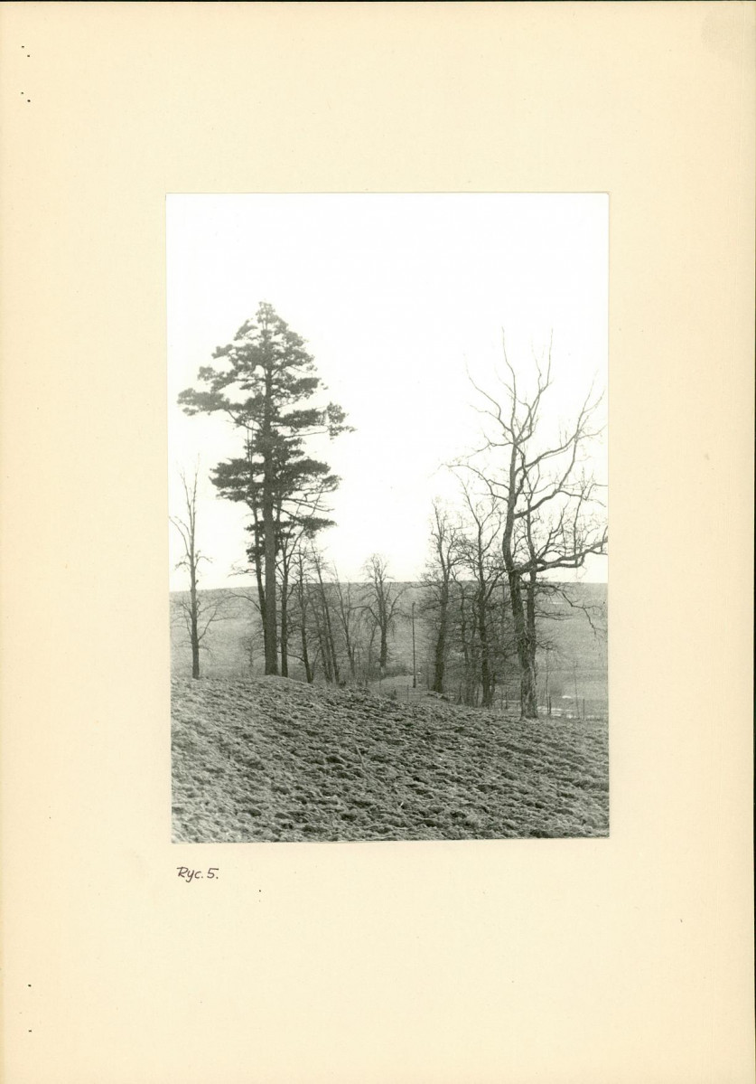 Ewidencja parkowa, skan nr 14