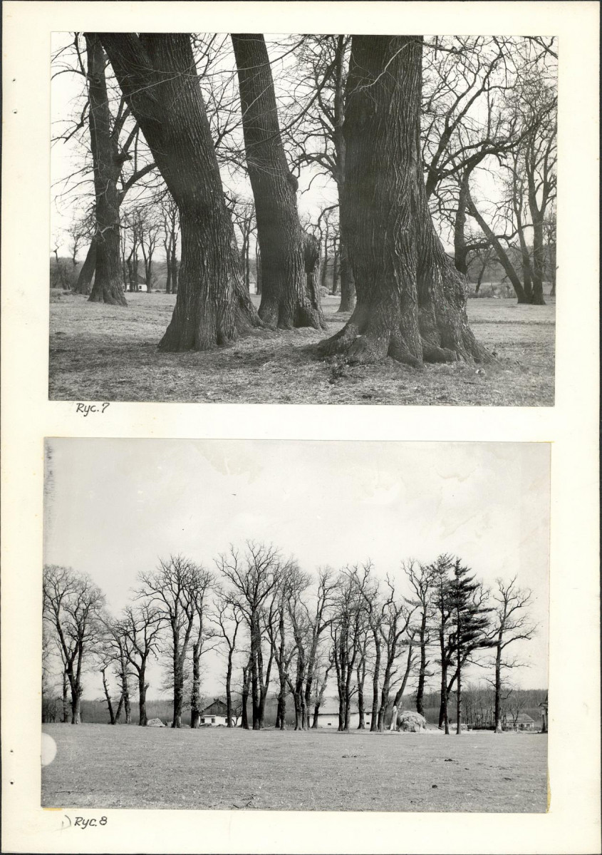 Ewidencja parkowa, skan nr 20