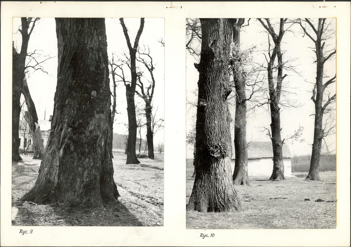 Ewidencja parkowa, skan nr 21