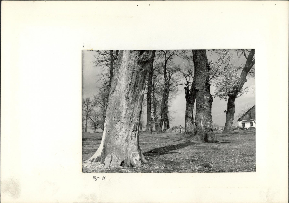 Ewidencja parkowa, skan nr 22