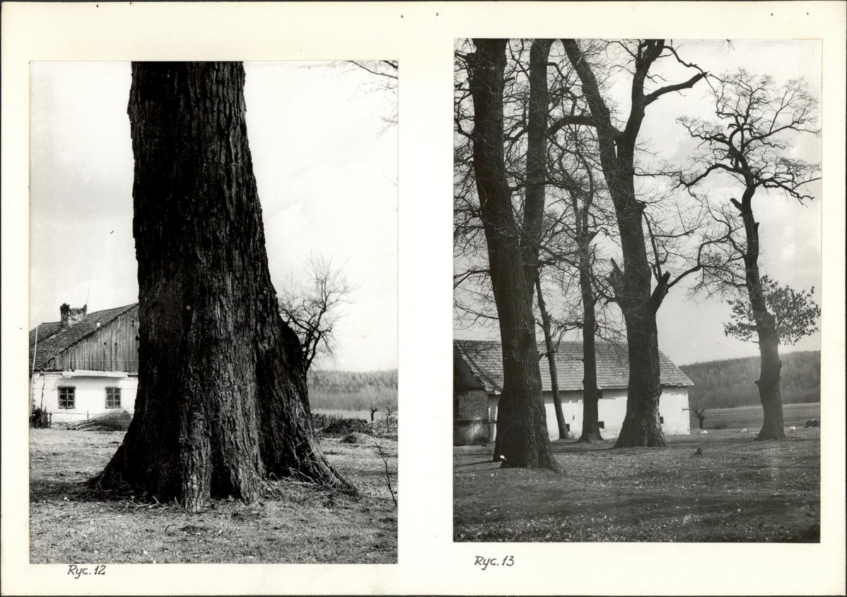 Ewidencja parkowa, skan nr 23