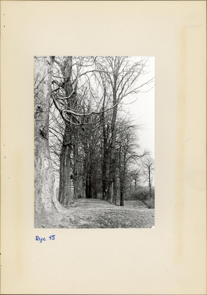 Ewidencja parkowa, skan nr 25