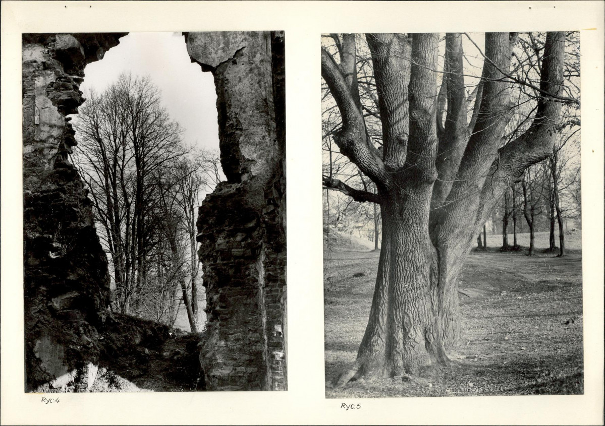 Ewidencja parkowa, skan nr 16