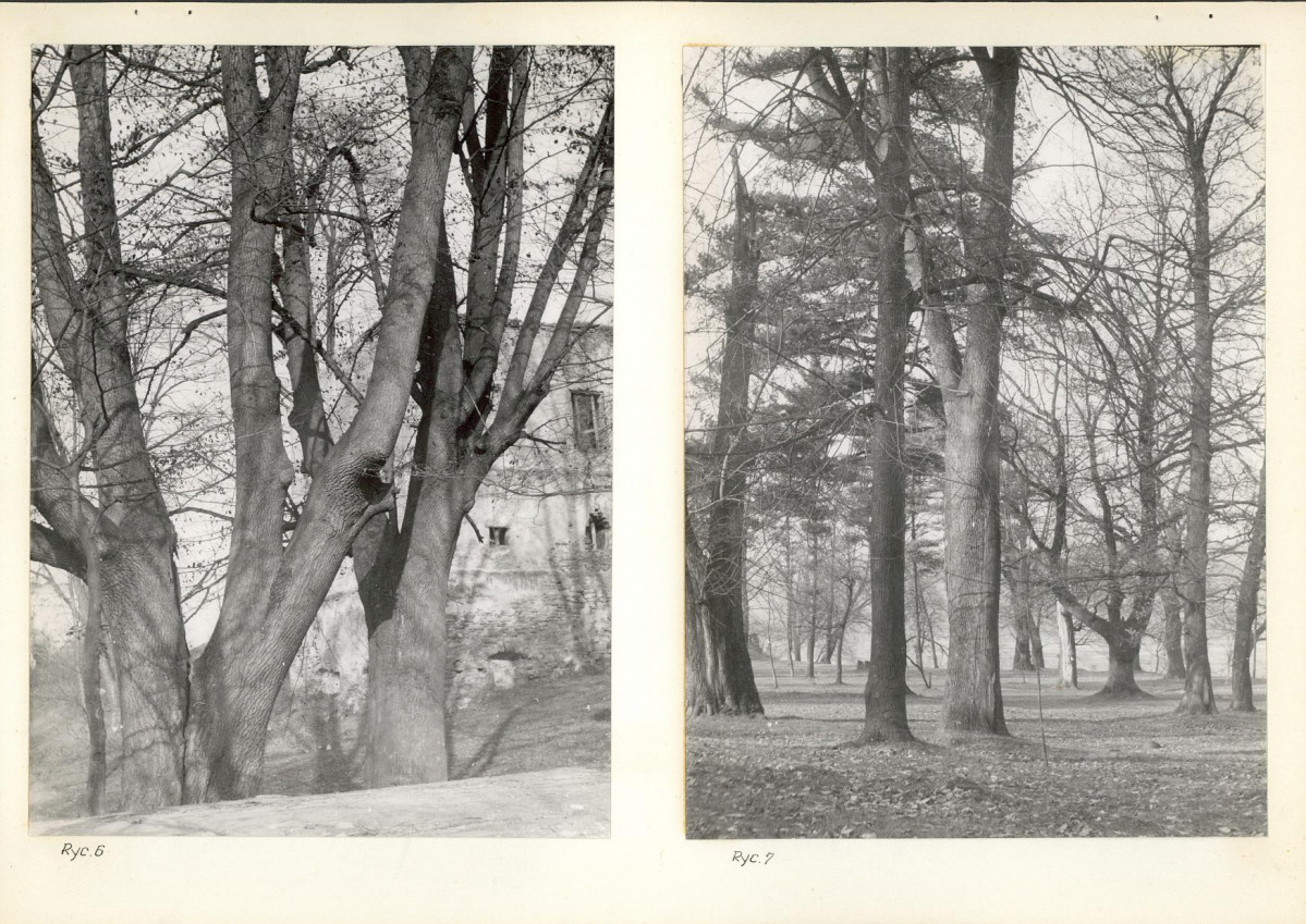 Ewidencja parkowa, skan nr 17