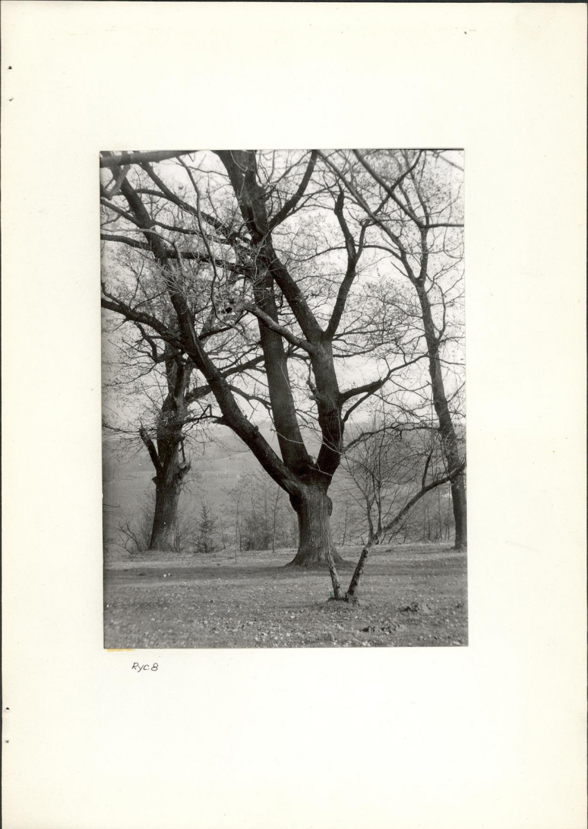 Ewidencja parkowa, skan nr 18