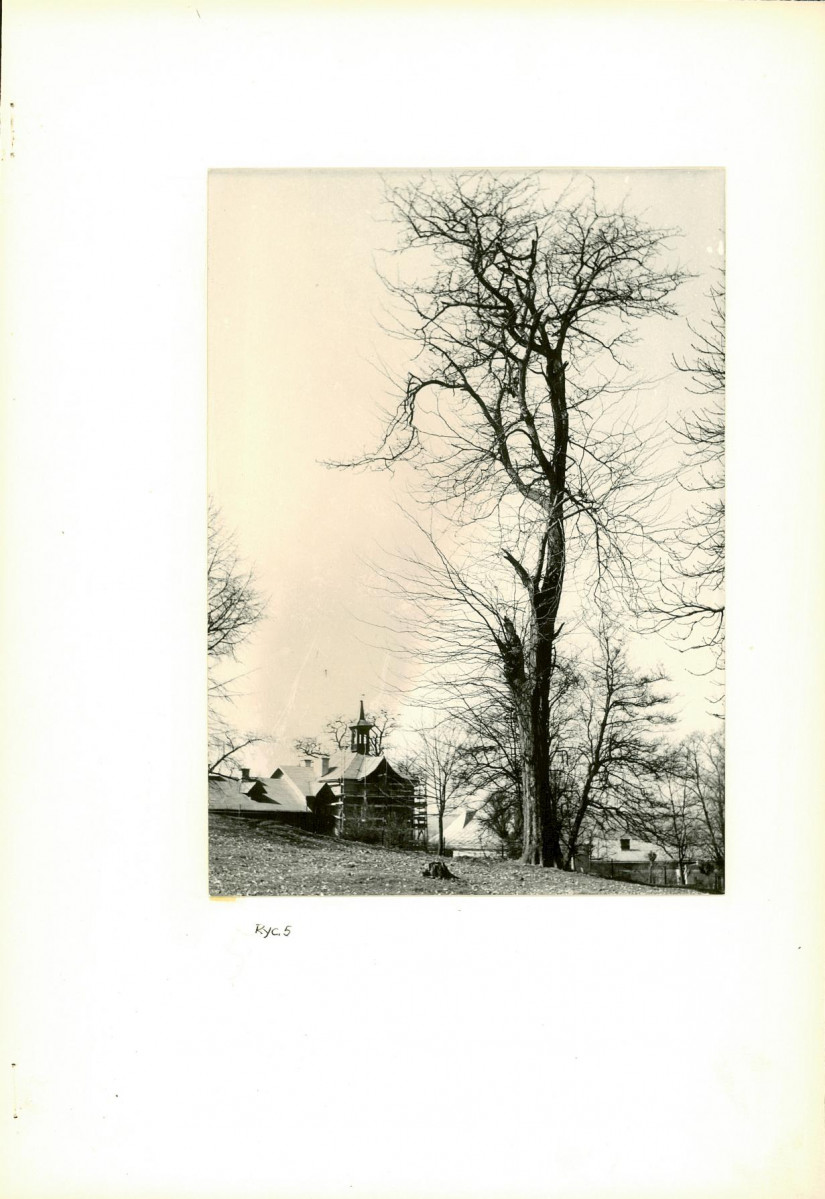 Ewidencja parkowa, skan nr 21