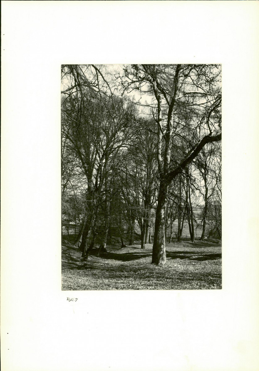 Ewidencja parkowa, skan nr 23