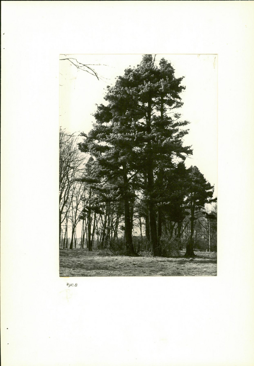 Ewidencja parkowa, skan nr 24