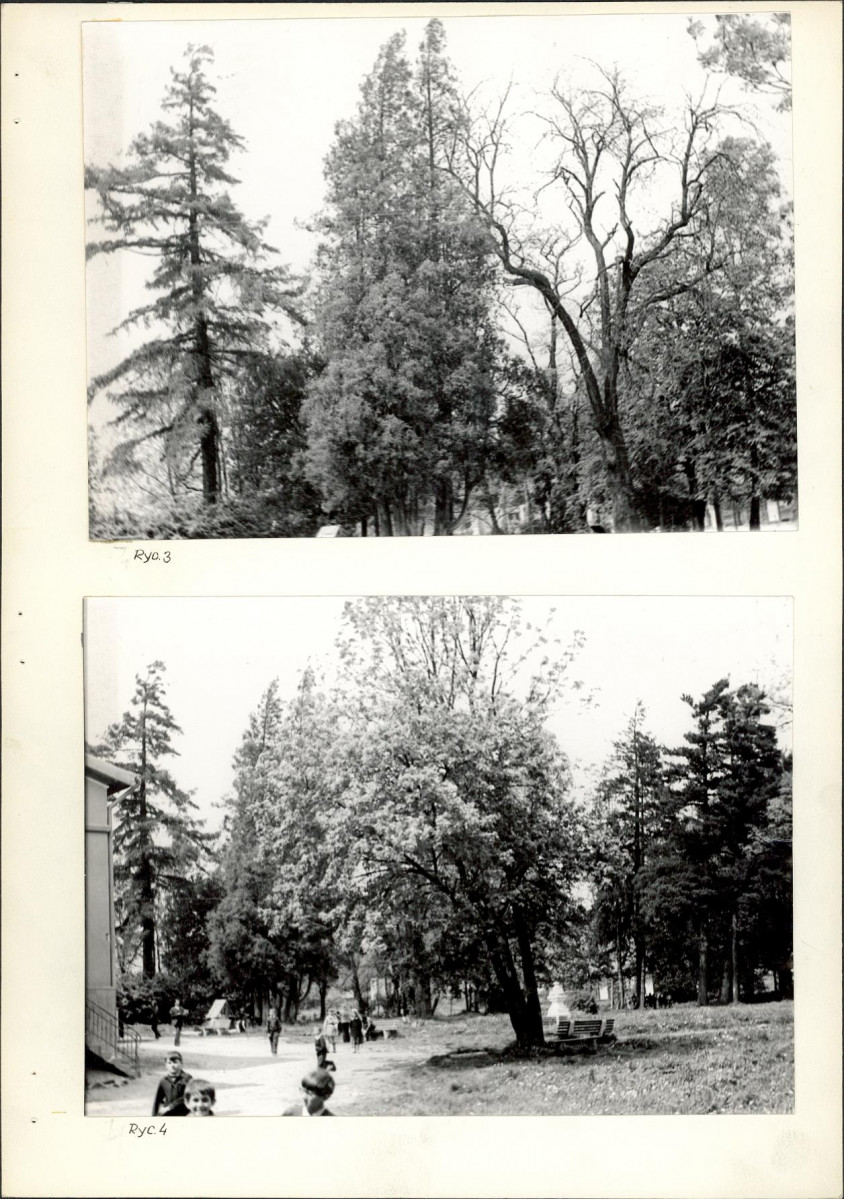 Ewidencja parkowa, skan nr 15